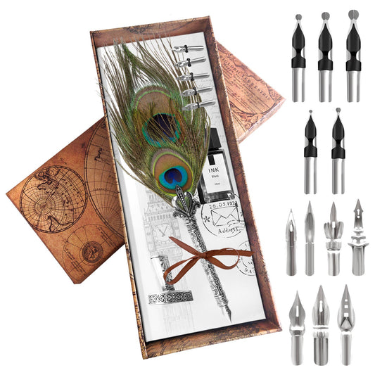 Peacock Feather Pen, Quill And Ink Set, Dip Pen Set, Quill Pen And Ink, Calligraphy Pen Set, Quill And Ink Set,Calligraphy Set For Beginners